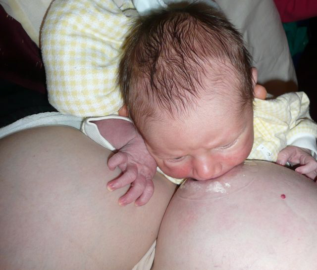 Reply, attribute Engorged veiny tits lactating Engorged veiny tits lactating excellent